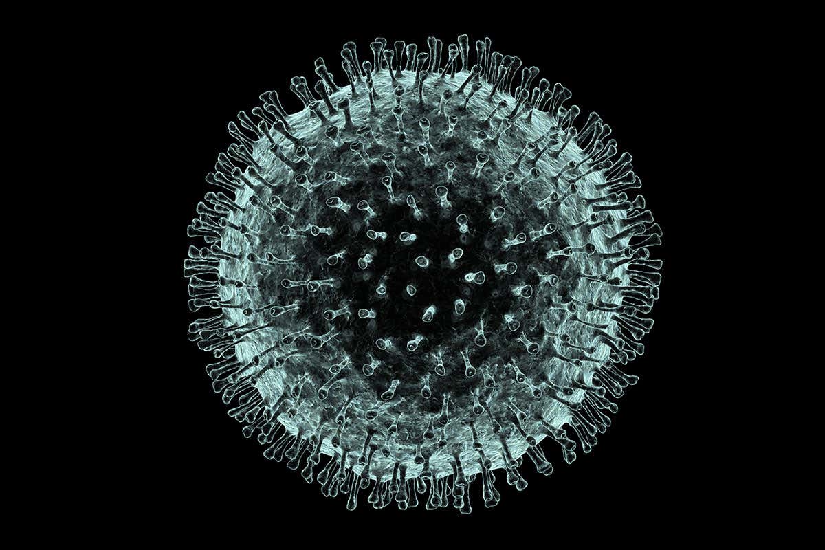 corona virus